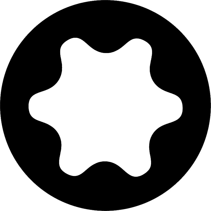 Boite de 2 embouts Torx Tx Long.25 