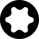 Boite de 2 embouts RW15 (Torx rond) Long.25 