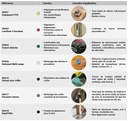 DXA16 - VUE SECONDAIRE
