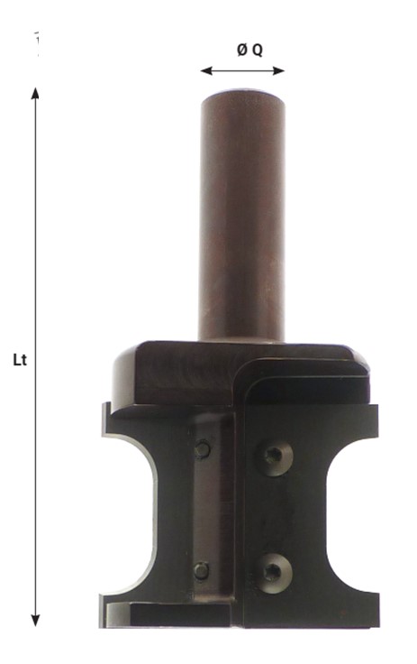 Mèche à profiler   à plaquettes HW   MULTIPROFIL   Type 4  Ø 60  LU. Section 39x18  LT. 100  Q 20  Z 2   Neutre  Rot. Droite 