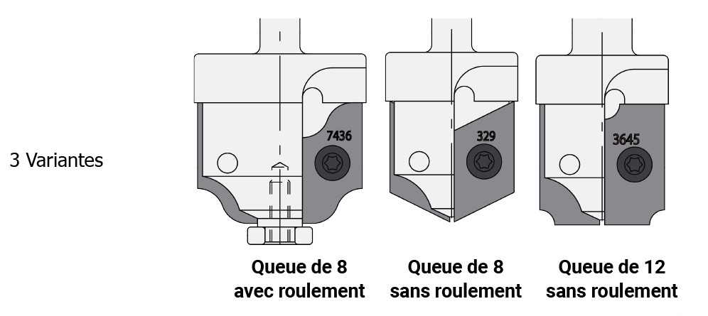 Mèche à profiler   à plaquettes HW   Multiprofils   Avt. 10  Ø 25  LC. 12  LU. 12  LT. 24  Q 12  Z 2  Rot. Droite 