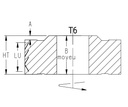 Calibreur diamant fractionné Ø60 (T6) LU.48 HT.Moy.63 d25+Cl. Z2+2 (Z12) ( H=4.5) Rot.Droite 