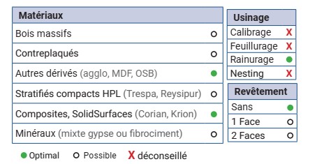 Mèche à profiler   à plaquettes HW   Boule   R9.5  Ø 19  LC. 17  LU. 17  LT. 67  Q 12  Z 2   Biaise positive  Rot. Droite 