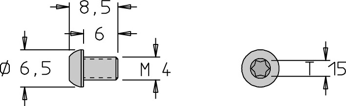 Vis tête bombée M4 x8.5 Torx T15 