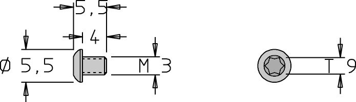 Vis tête bombée   M3  x 5.5   Torx T9 