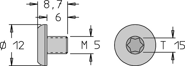 Vis tête bombée   M5  x 8.7   Torx T15 