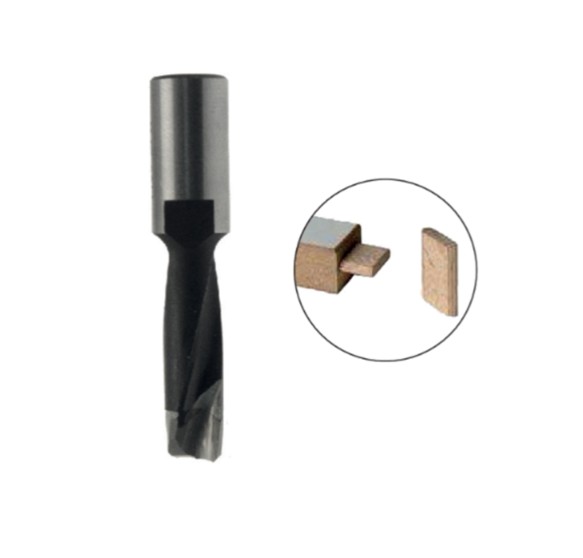 Mèche à rainurer HW Brasé Domino System Ø10 LU.28 LT.49 QM6x0.75 Z2 